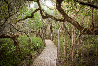 Grootbos Private Nature Reserve