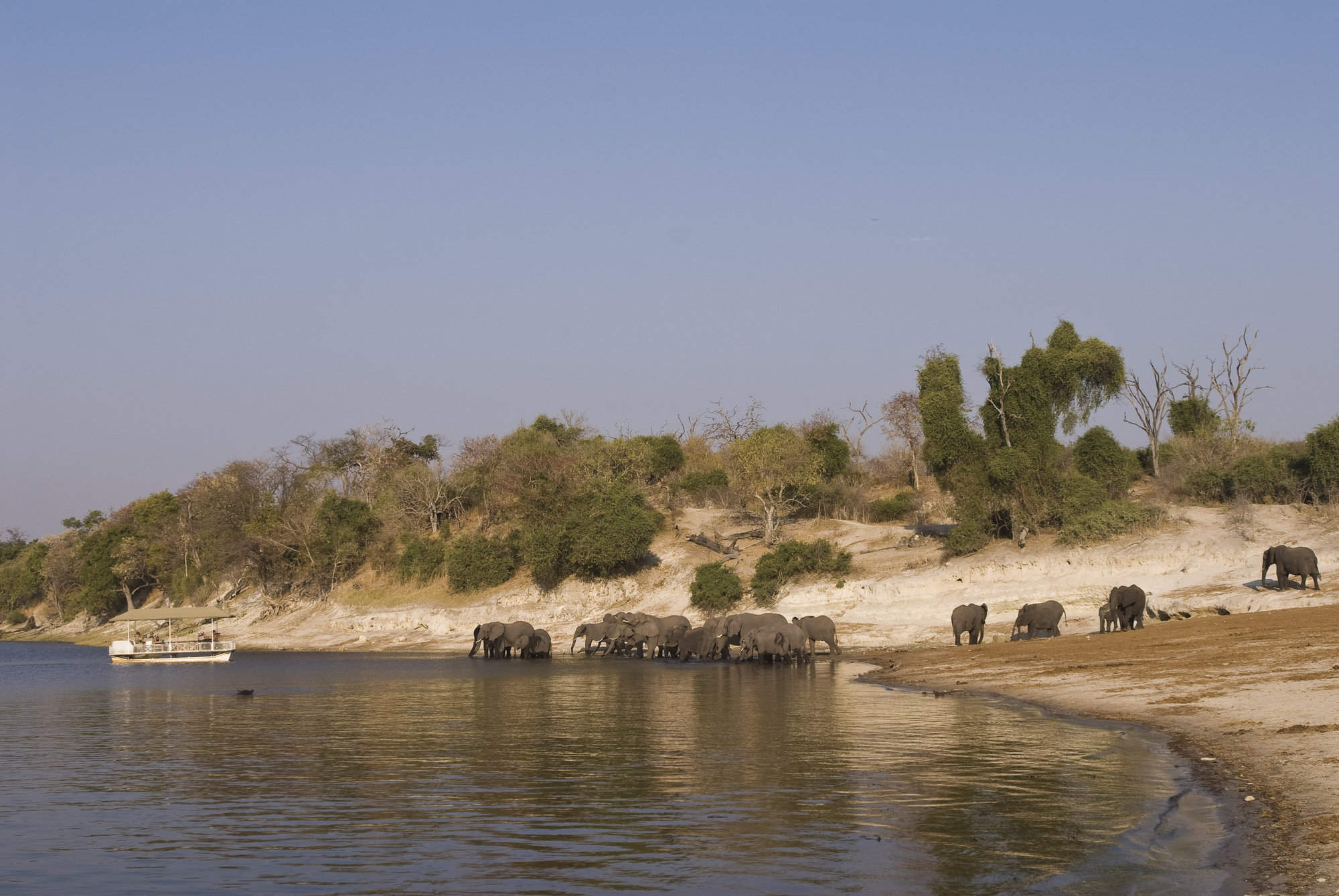 Chobe National Park