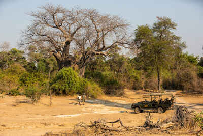 Tembo Plains Camp