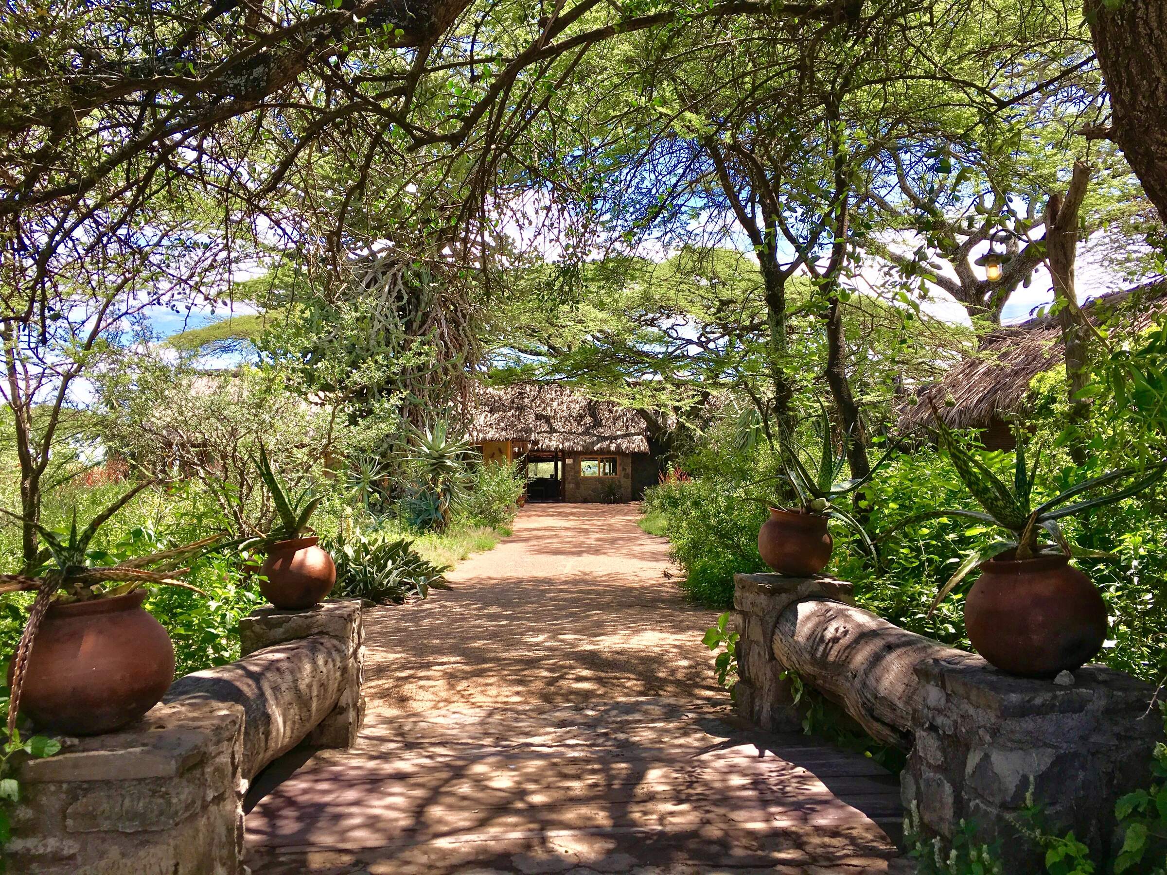 Ndutu Safari Lodge