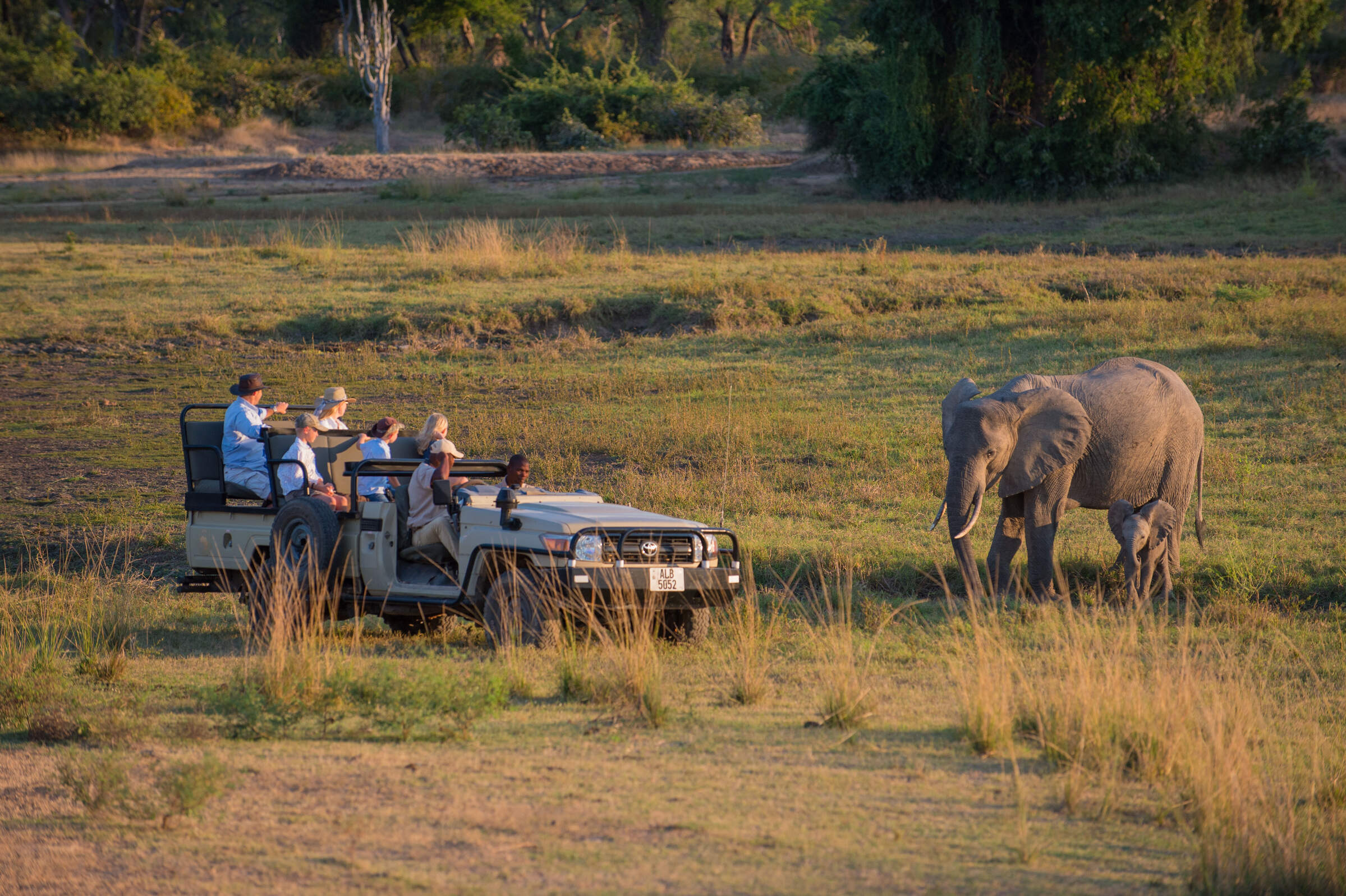 zambia safari holidays