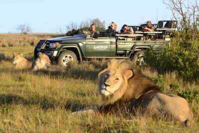 Kariega Game Reserve