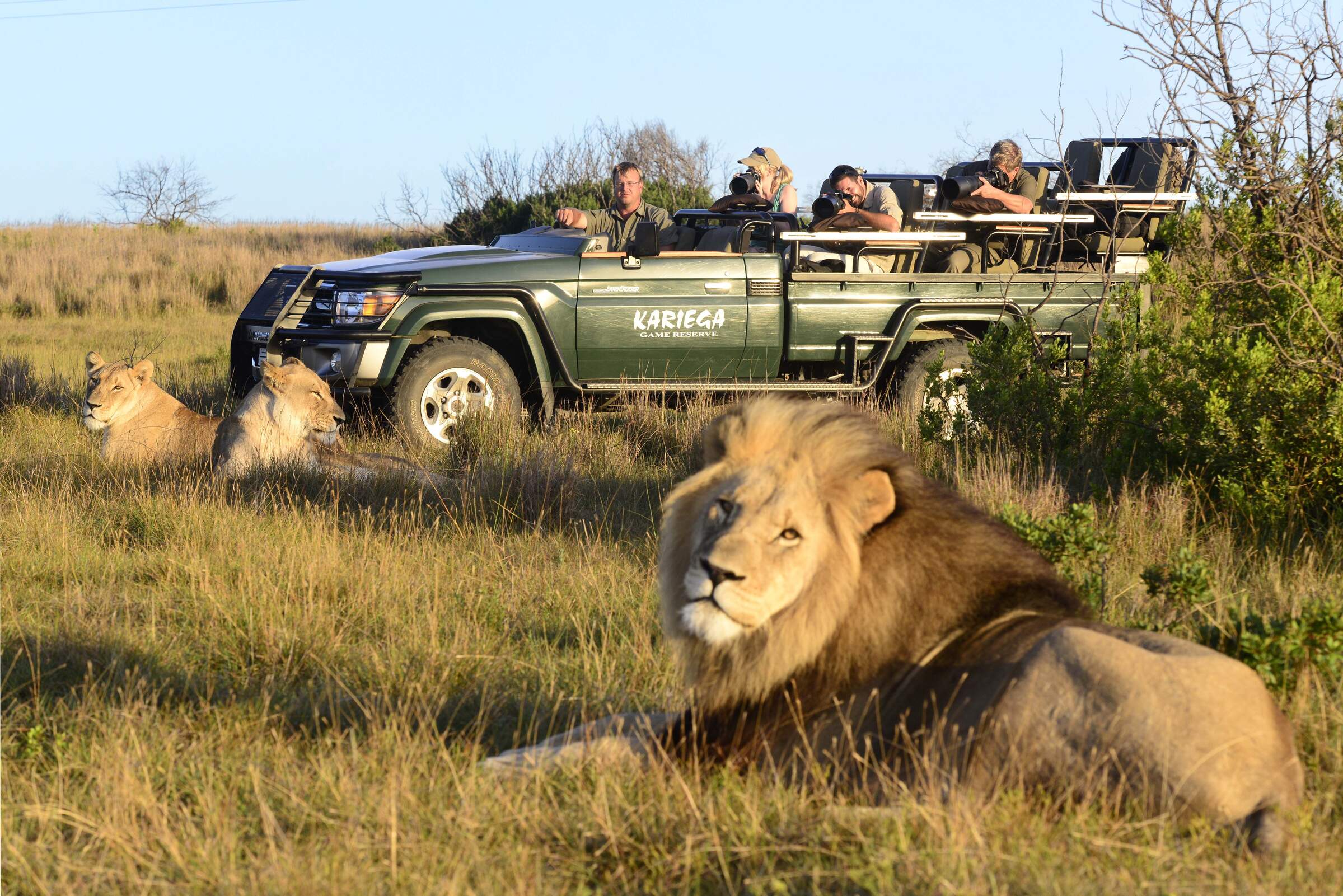 Kariega Game Reserve South Africa Expert Africa