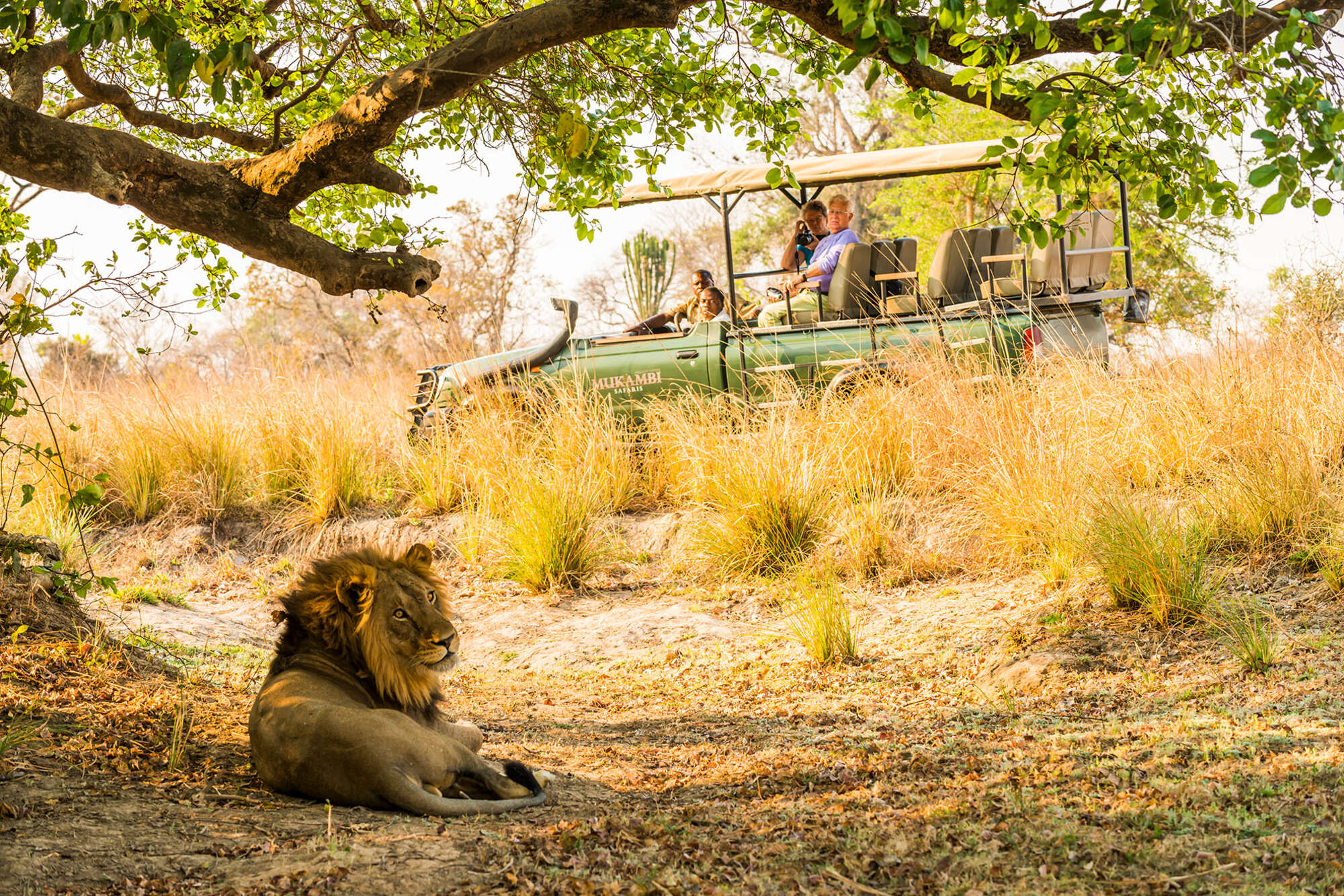 zambia safari holidays