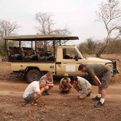 Gorongosa National Park