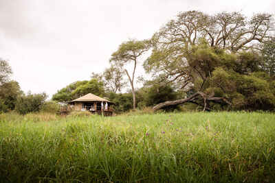 Swala Camp