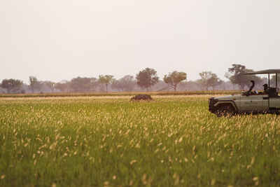 Shinde Camp