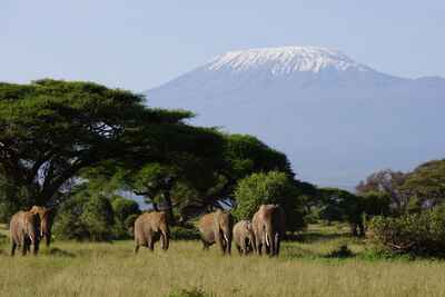 Amboseli and the Chyulu Hills