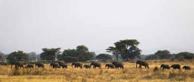 Rufiji River fly-camping