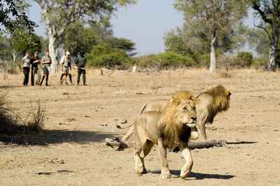 Robin Pope Safaris Mobile Safari Camp