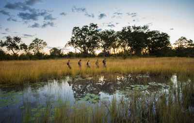 Sitatunga Private Island Camp