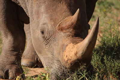 Waterberg Plateau Lodge