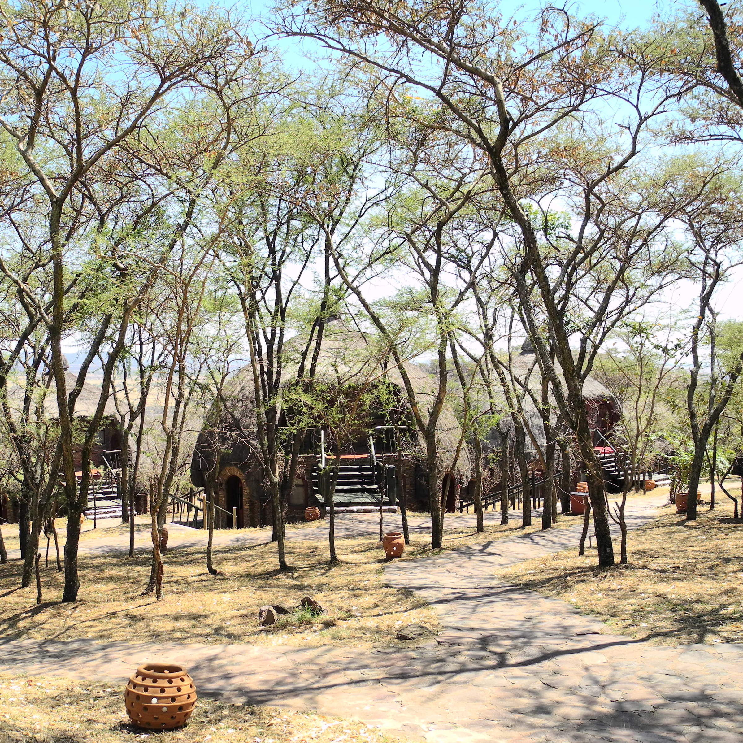 Serengeti Serena Safari Lodge