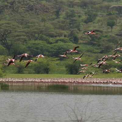 Rift Valley