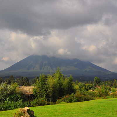 Mountain Gorilla View Lodge