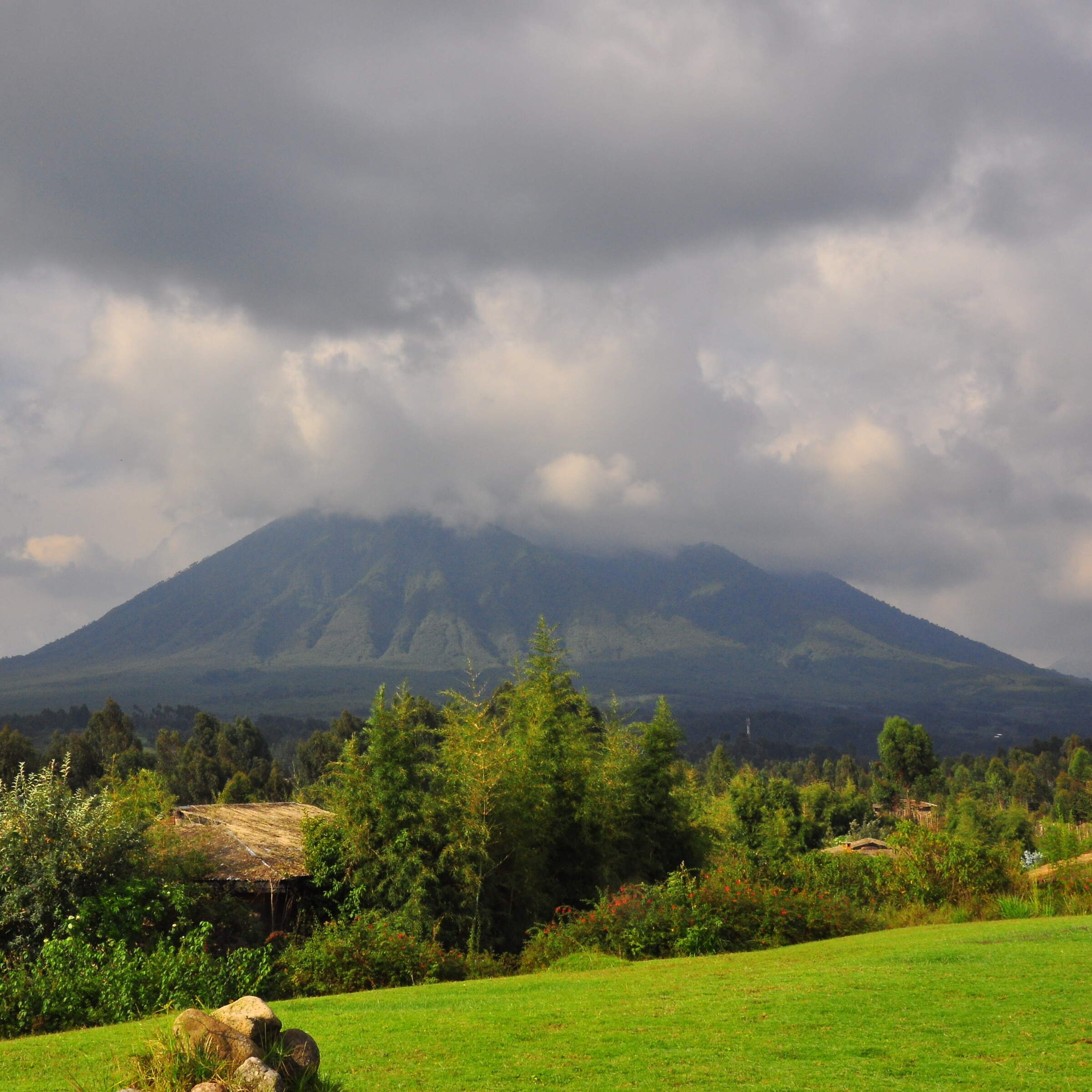Mountain Gorilla View Lodge