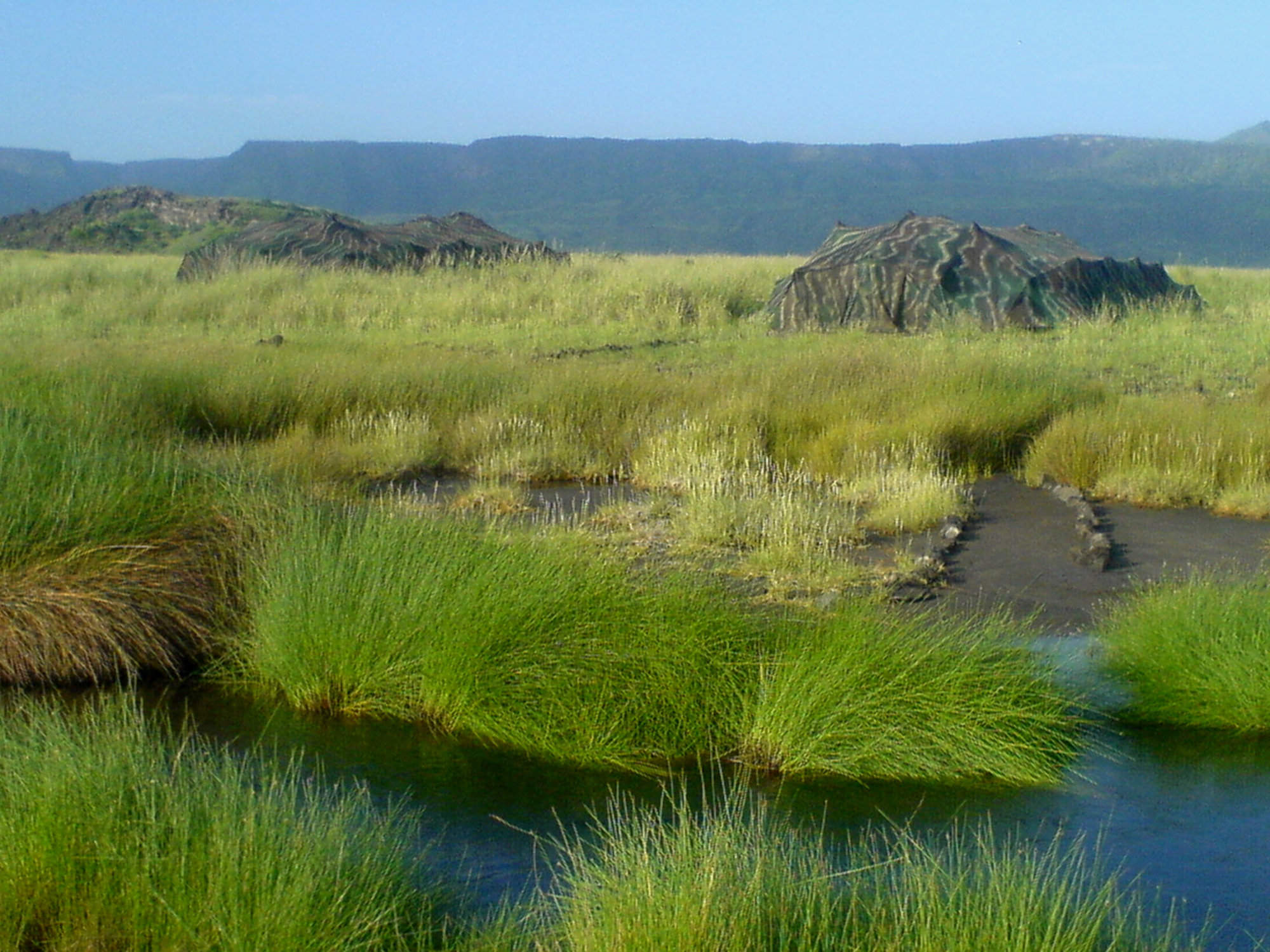 lake natron in africa lake natron in africa