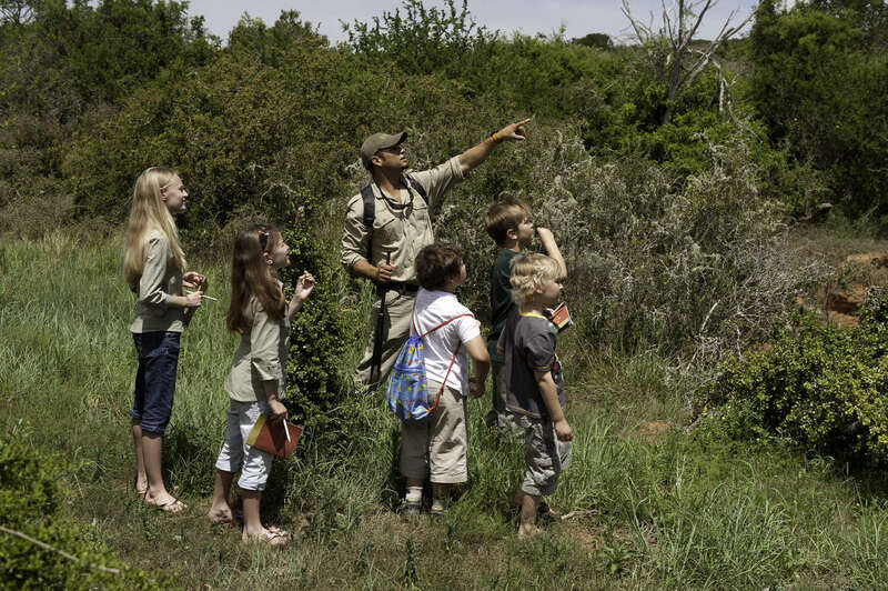 Family safari holidays in South Africa | Expert Africa