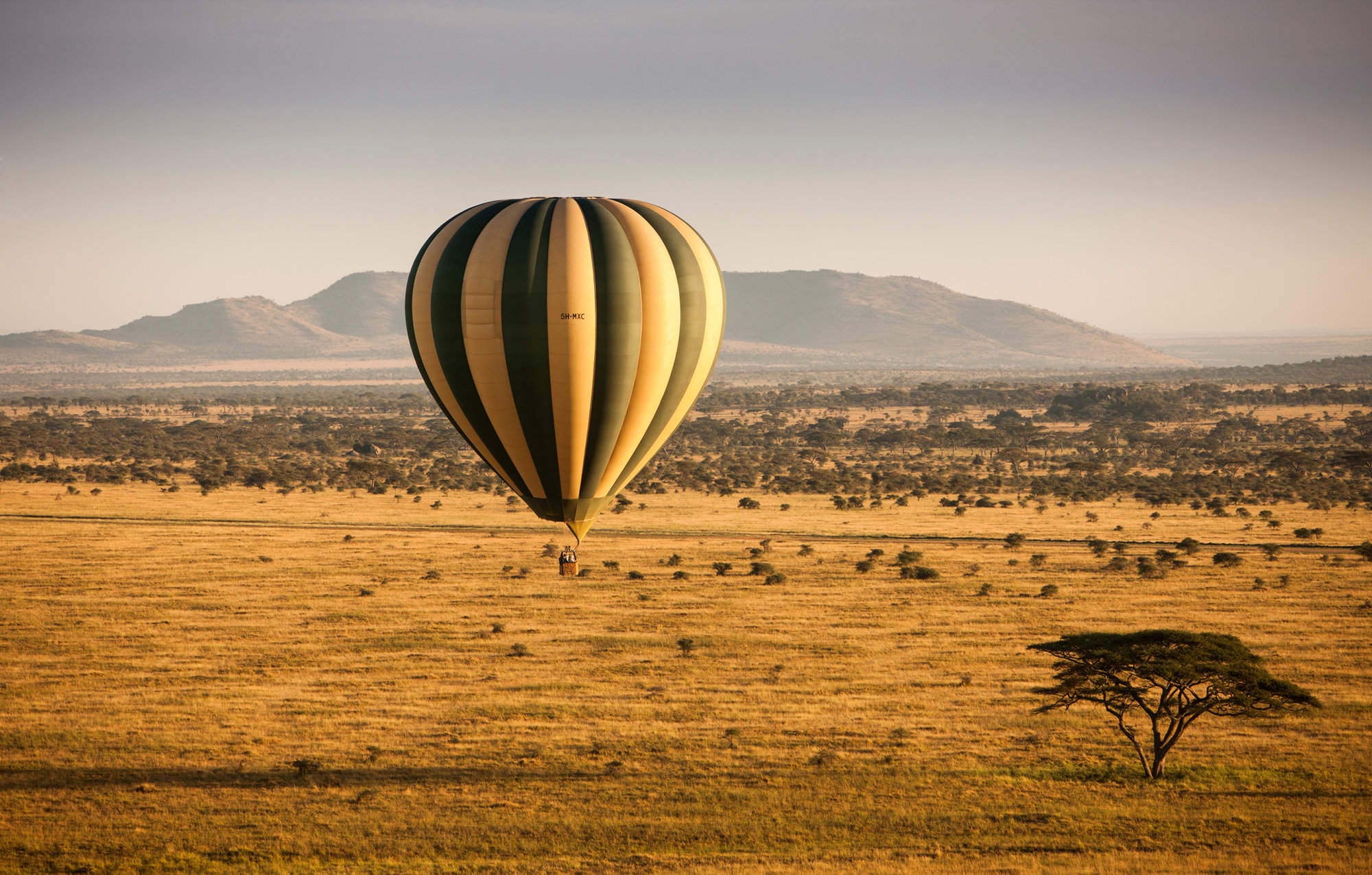 safari tanzania march