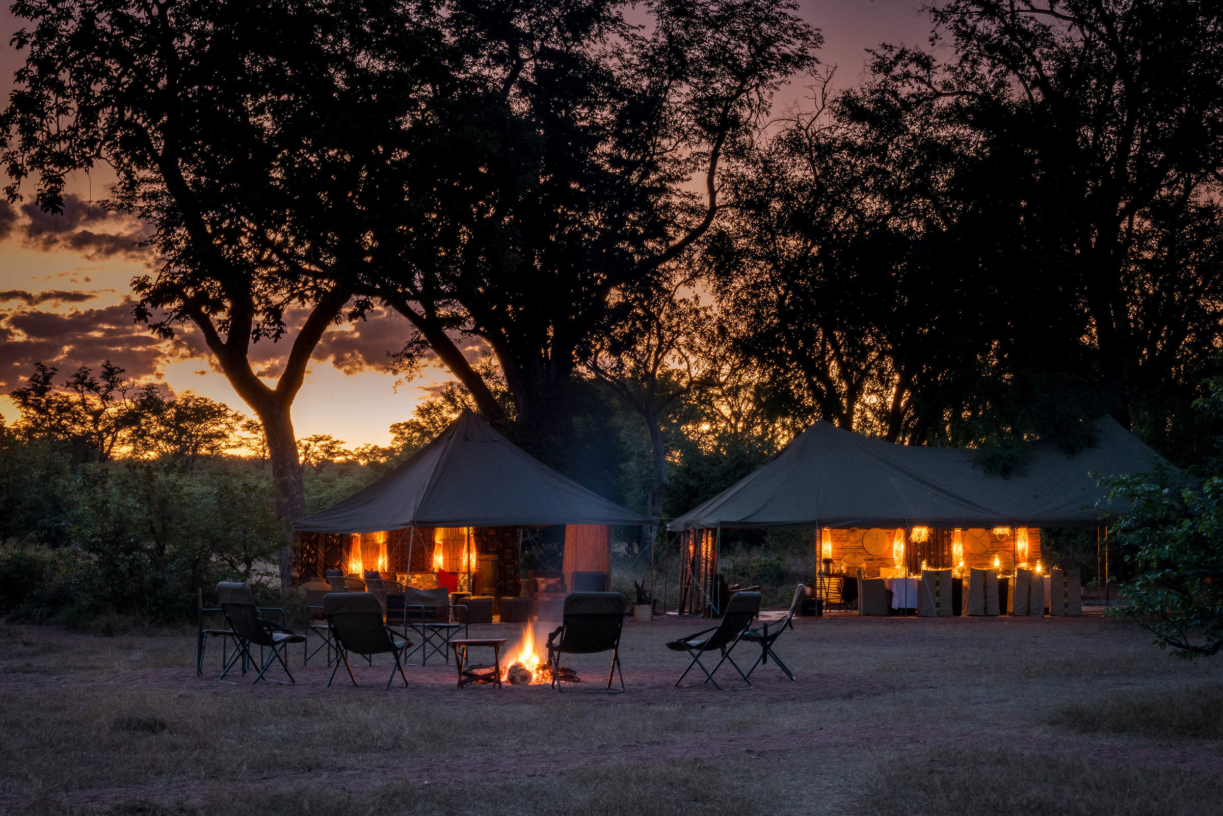 african bush camp safari