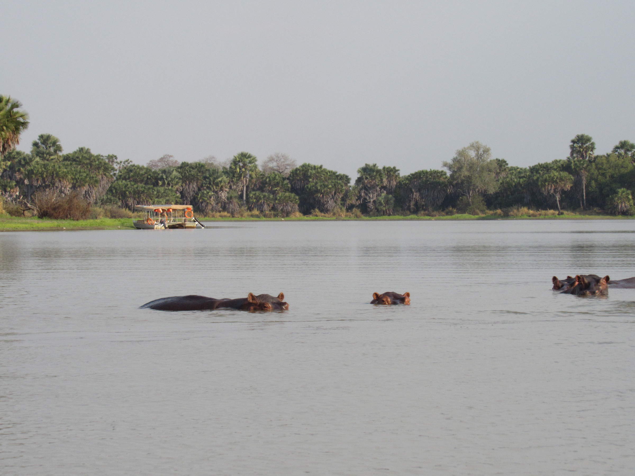 Lake Manze Adventure Camp