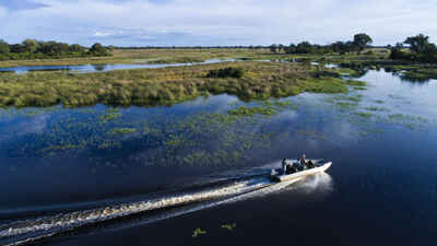 North Island Okavango