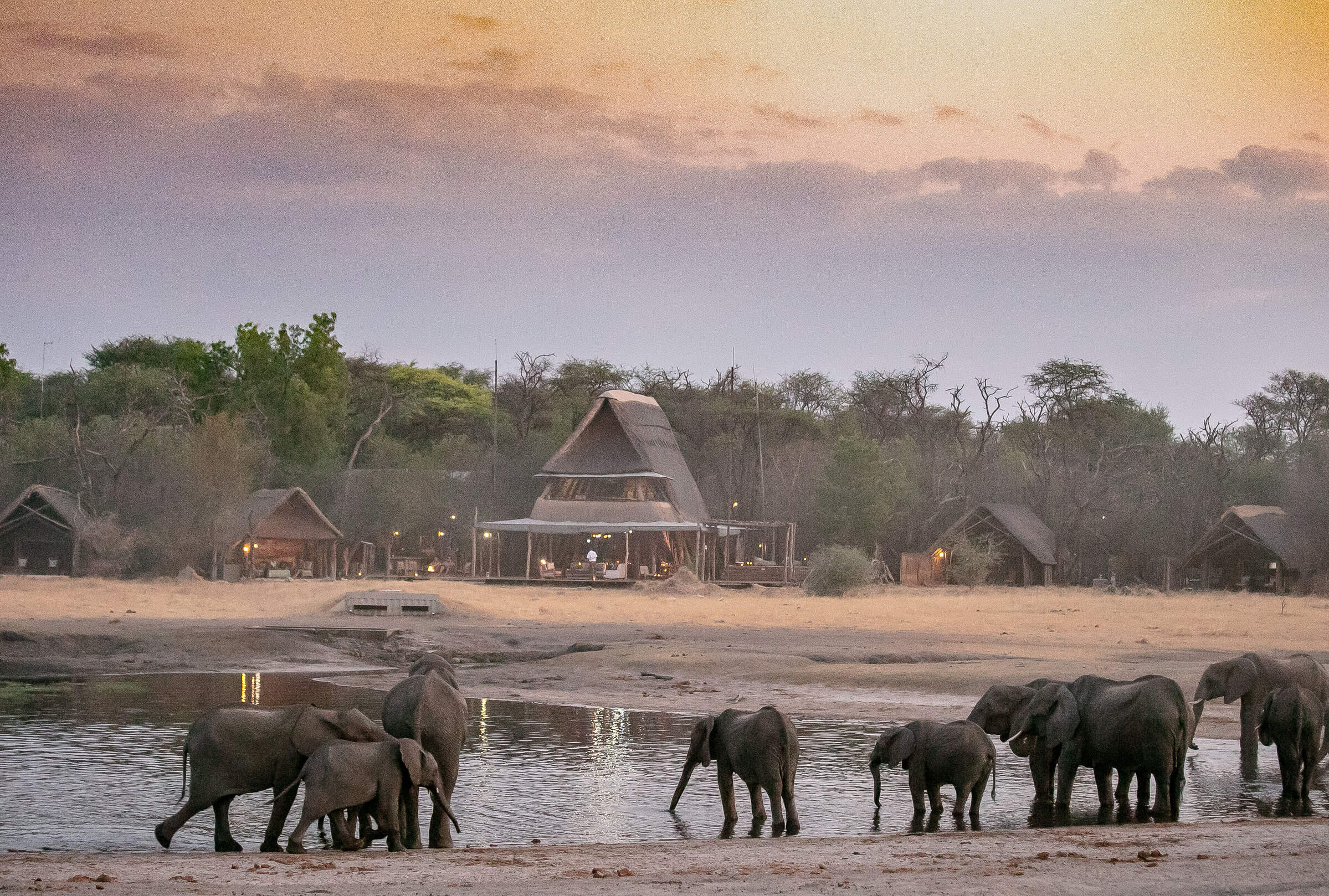 safari hwange national park