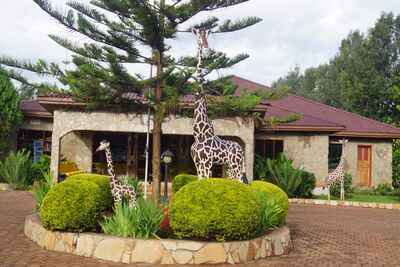 Bougainvillea Safari Lodge