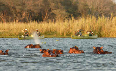 Lower Zambezi National Park