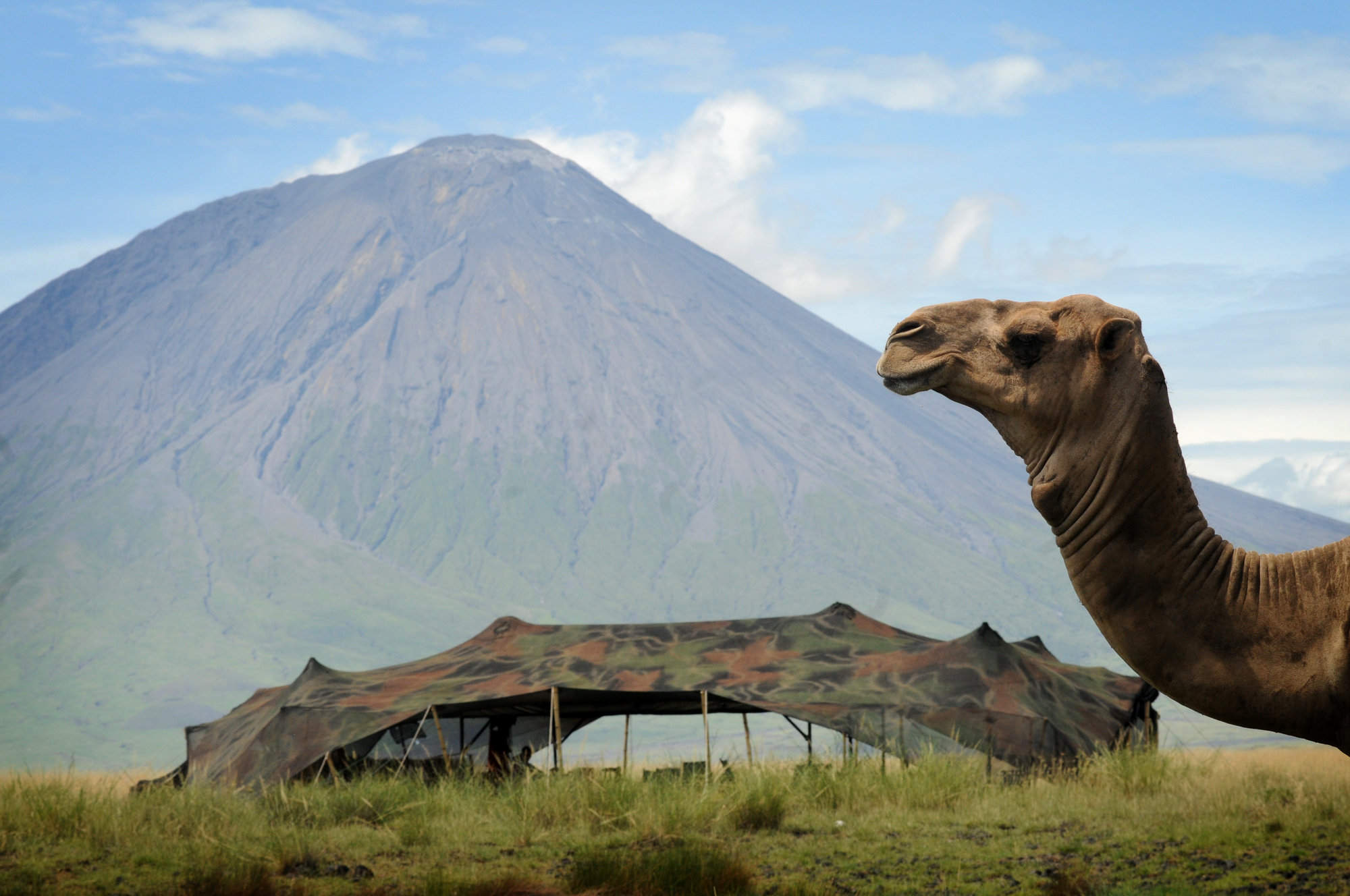 lake natron in africa lake natron in africa