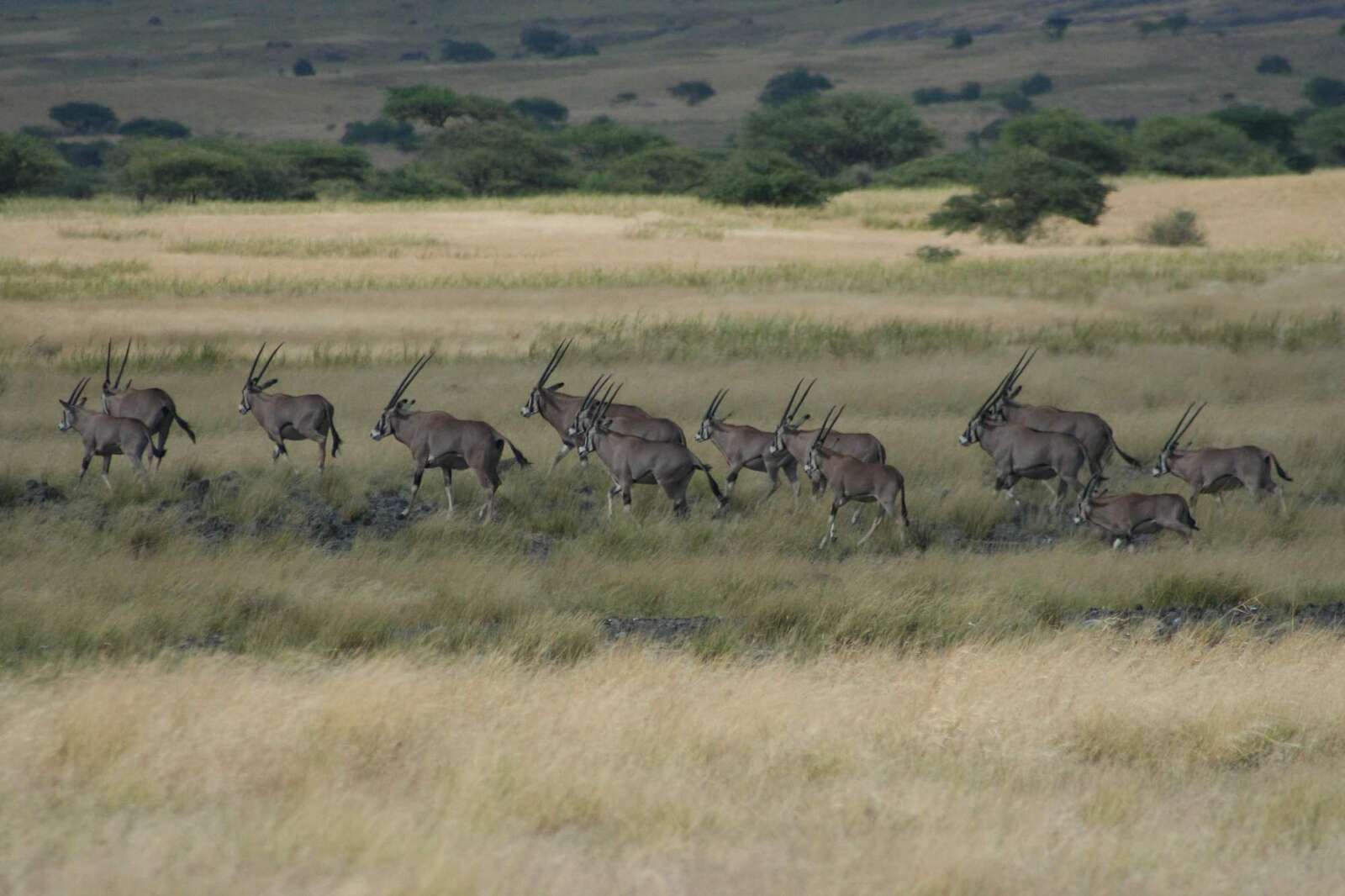 natron lake kenya map