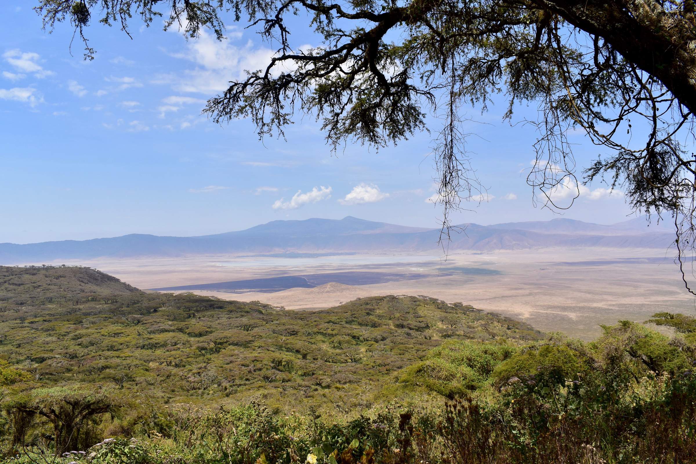 Ngorongoro Fly-Camp