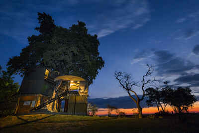 Jackalberry Tented Camp