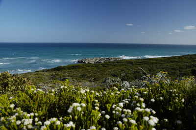 De Hoop Nature Reserve