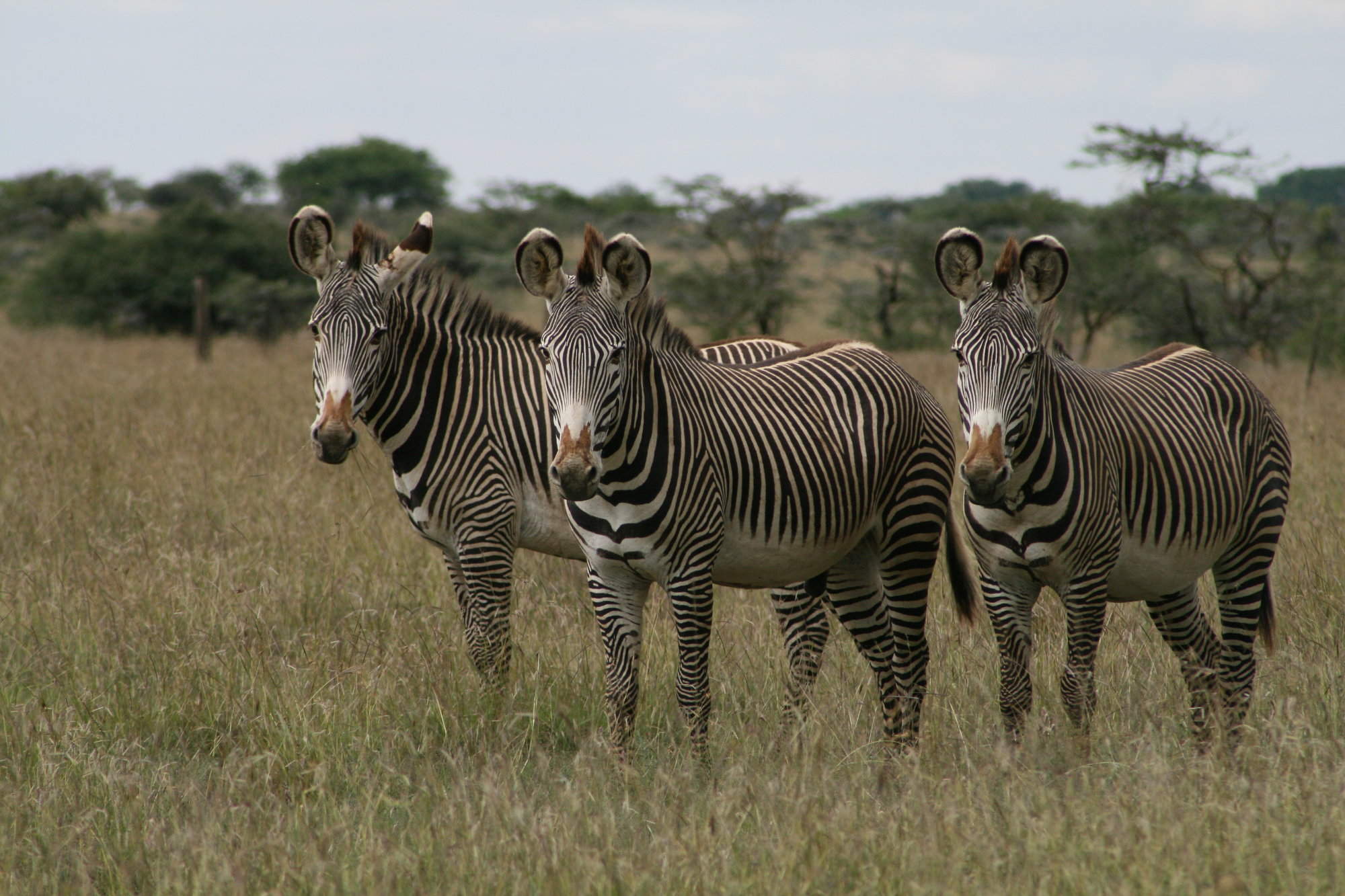 Laikipia | Kenya | Expert Africa