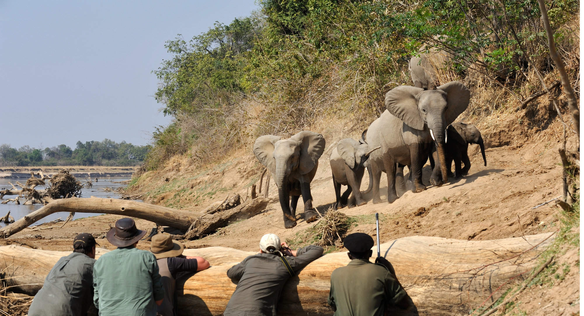 walking safari zambia