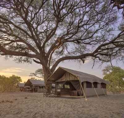 Savute Under Canvas