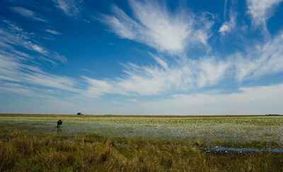 Liuwa Plain National Park