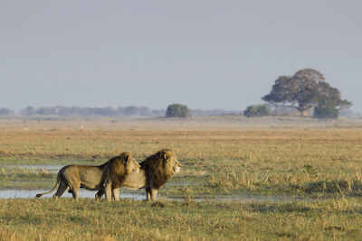 Kafue National Park