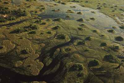 Okavango Delta Safari Reserves