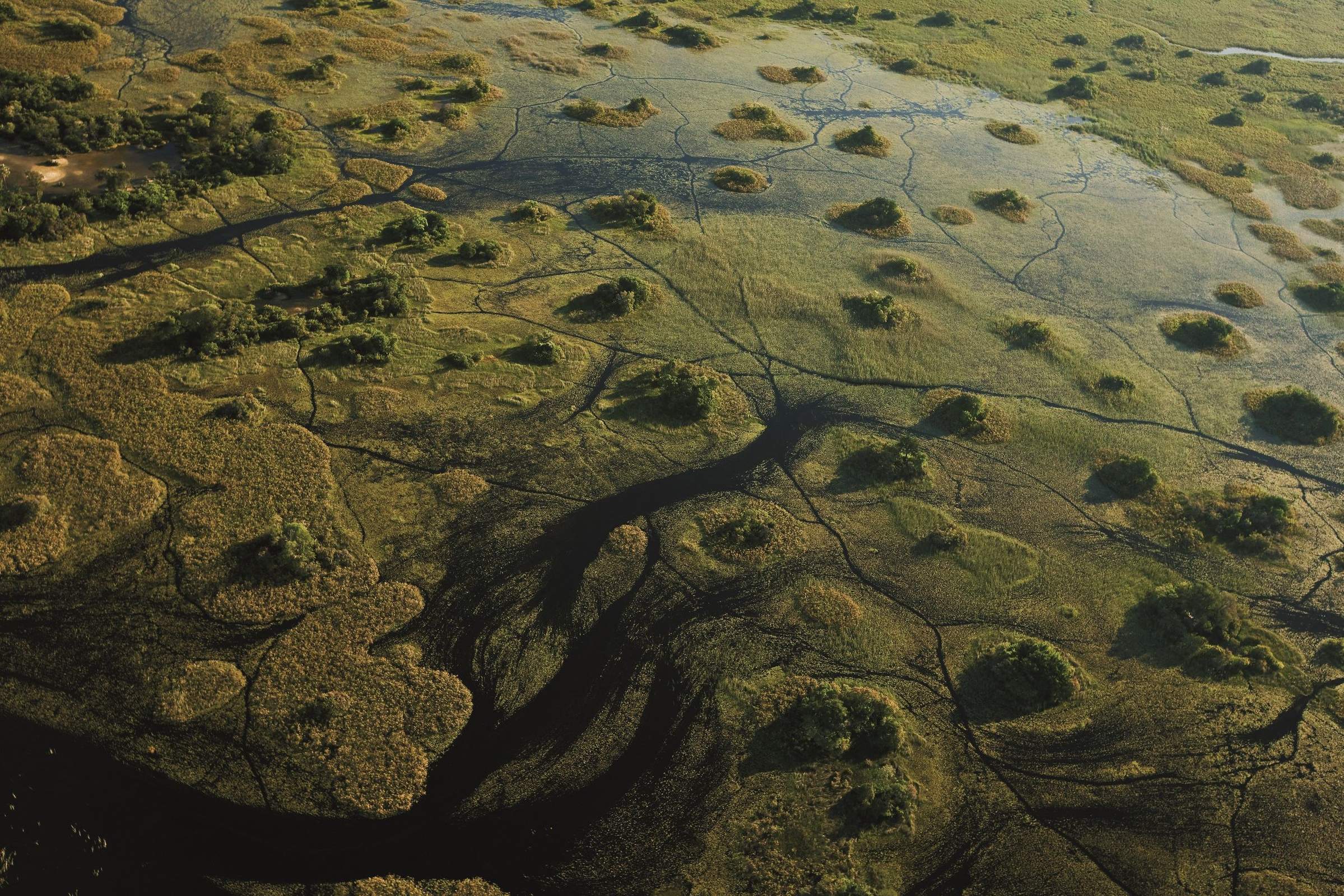 Okavango Delta Safari Reserves