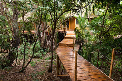 Rhino River Camp