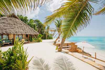 Kortfattet fængsel Gammel mand Beach lodges on the East Coast – Zanzibar - Tanzania