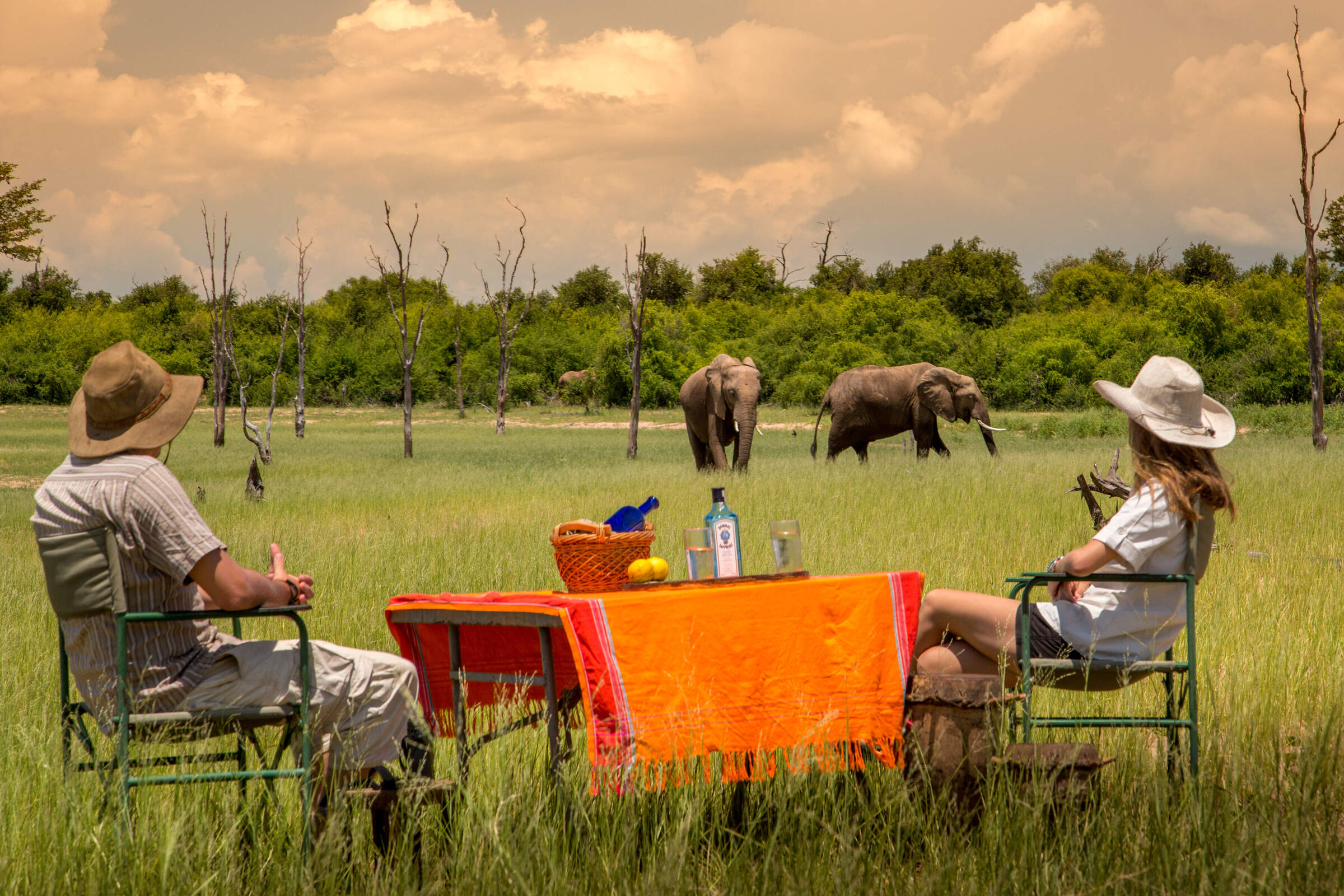rhino safari camp photos