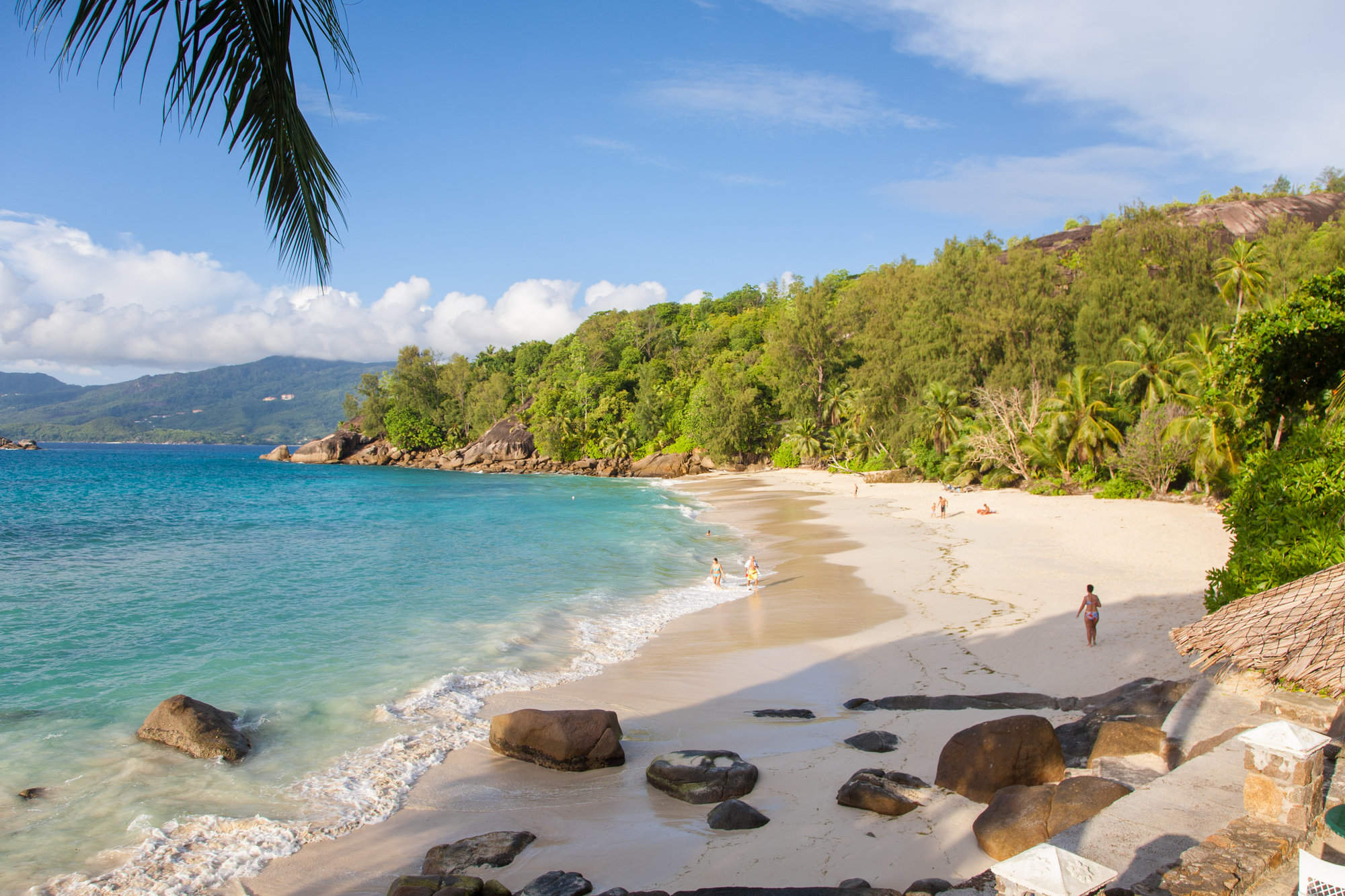 Seychelles капиа