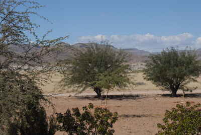 Elegant Desert Lodge