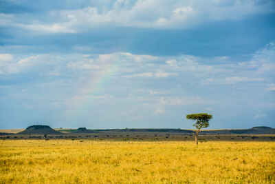 Serengeti Migration Area