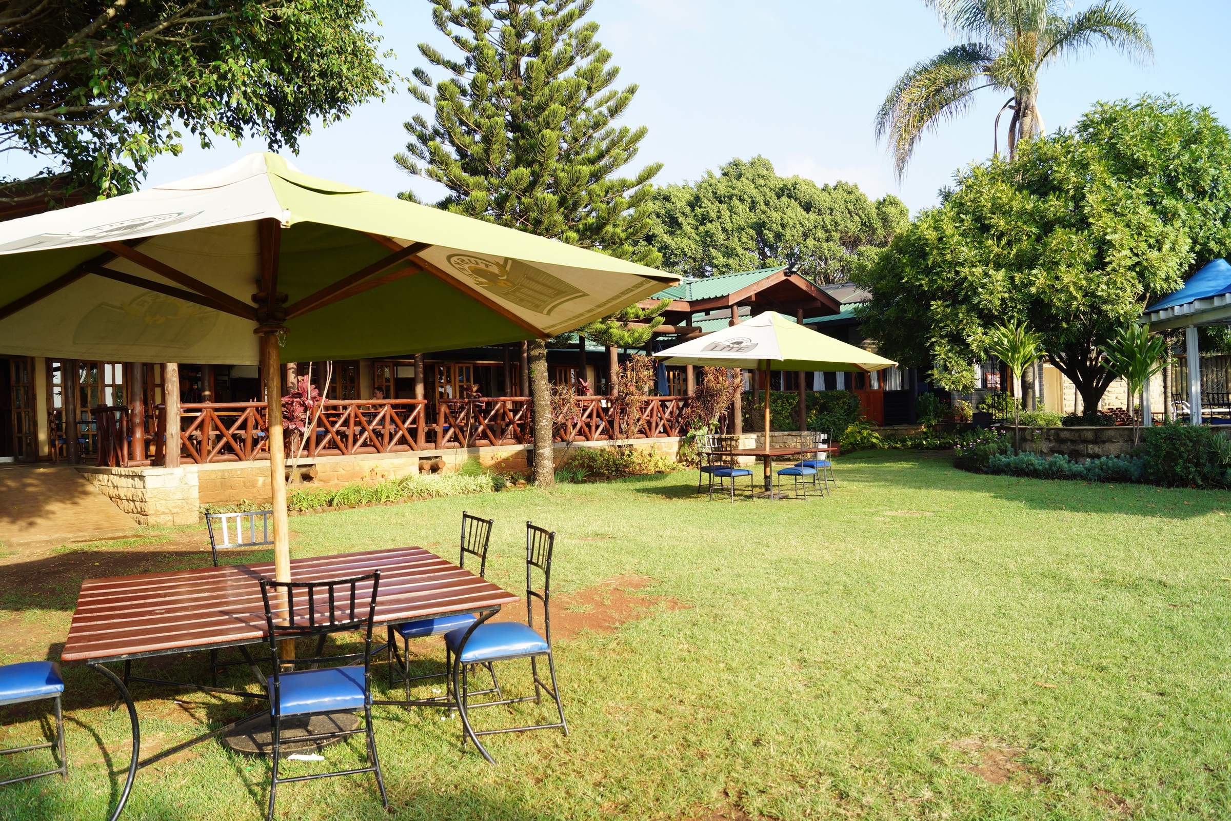 Trip Report From Jan 21 Safari To Kenya By Mr M From Crediton