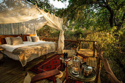 Sapi Springs Camp