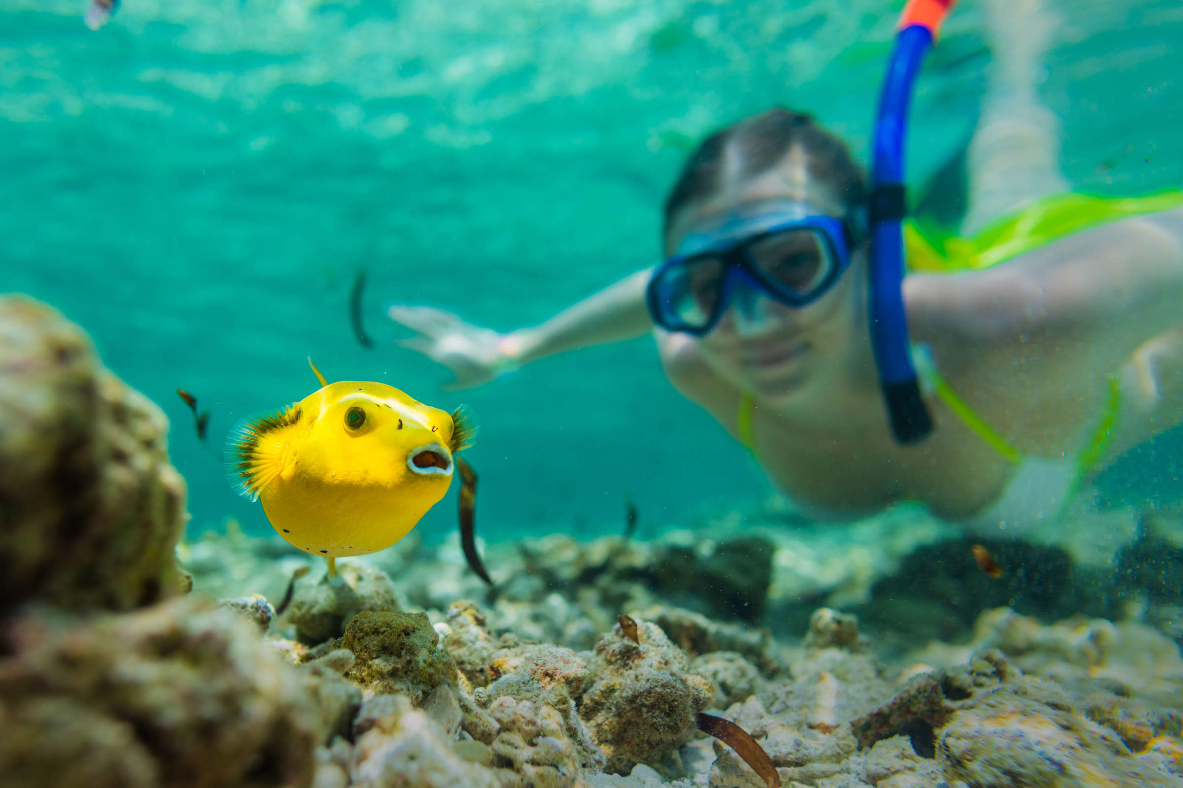 Diving & snorkelling